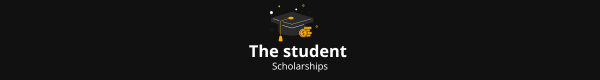 thestudentscholarships.com