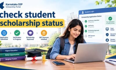 check student scholarship status
